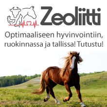 Zeoliitti